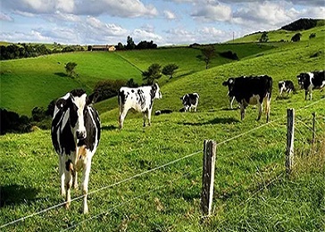 畜牧周界防范项目方案
