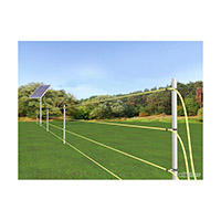 大朗草莓园安装电子围栏 偷盗现象再无发生